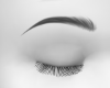 Sharp EyesBrow♛