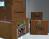 Basement Boxes