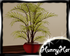 House Plant Red Vase