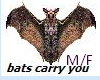 Bats Fly U Male/Female