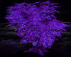 Purple Animated Tree
