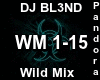 Wild Mix (1/3)