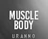 U. Muscle Body
