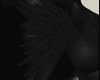 Plague Feathers