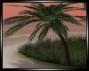 D|Beach Palm Tree Kiss