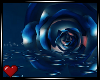 *VG* The Blue Rose