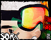 Ski Goggles