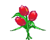 Animated Tulips