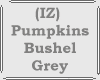 (IZ) Pumpkins Bushel G