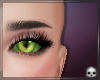 [T69Q] Lady Noir Eyes