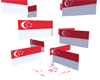Singapore Flag Poofer