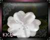*KKP* Blossom White HB