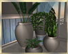 Feeling  Potted Plants