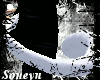 *Sn*Kitty Cat TailW
