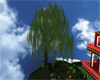 Wilow tree