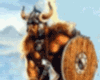 Viking Warrior