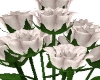 White Roses/Vase