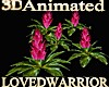 5 Animated Bromeliads 9