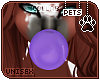 [Pets]Makybe |bubble gum
