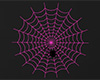 Pink Spider Web