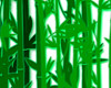 green glow bambo