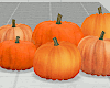 Fall Halloween Pumpkins