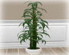 [Luv] 2B - Plant 3