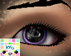 |Kyo|Purple Dilated Eyes
