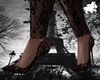 Bleck Net Pumps