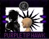 {E} Purple Tip Hawk