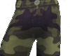 Hayner Pants