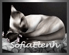 (SE)Zzzzz Seamese Cat