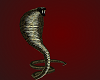 King Cobra Pet