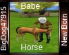 [BD] Babe Horse