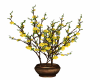 Small Yellow Tree