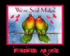 Love Birds..SoulMates