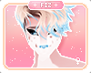 Ⓕ Prim | Hair