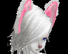 White Cat Ears F/M