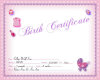 Jamie Birth Certificate