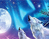 White Wolves Howling