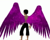 Angel Pink Wings M/F