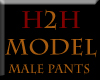 H2H Model