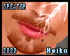 Beard Ginger II