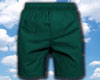 Shorts Emerald Green