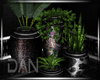 [LD]Glam Black Plants
