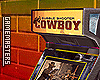 Cowboy Shoot Flash Game