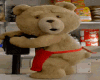 Casaco Teddy