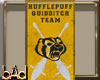 Hufflepuff Quidditch