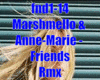 Friends remix