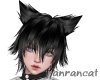 +black hair cat F